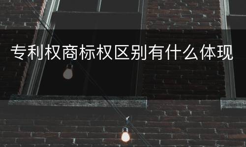 专利权商标权区别有什么体现