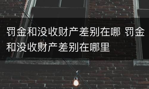 罚金和没收财产差别在哪 罚金和没收财产差别在哪里