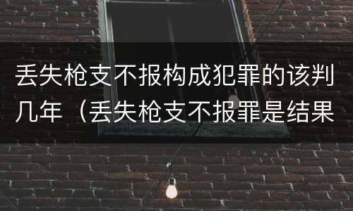 丢失枪支不报构成犯罪的该判几年（丢失枪支不报罪是结果犯）