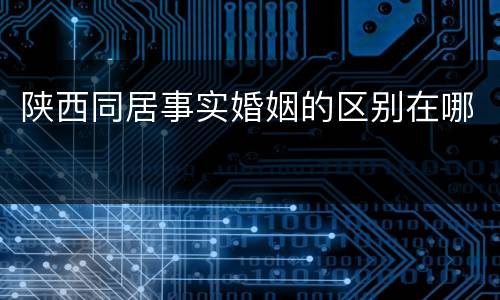 陕西同居事实婚姻的区别在哪