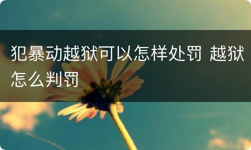 犯暴动越狱可以怎样处罚 越狱怎么判罚