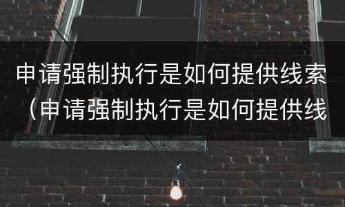 申请强制执行是如何提供线索（申请强制执行是如何提供线索材料的）