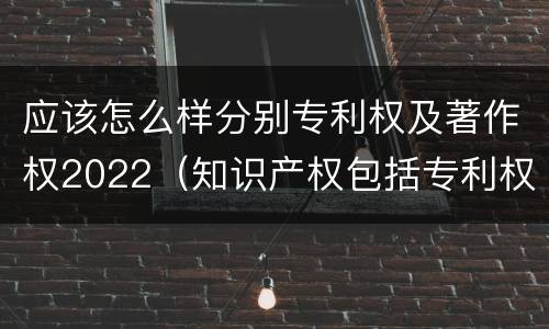 应该怎么样分别专利权及著作权2022（知识产权包括专利权和著作权吗）