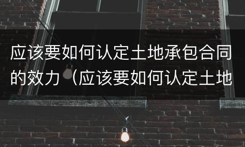 应该要如何认定土地承包合同的效力（应该要如何认定土地承包合同的效力范围）