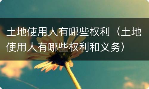 土地使用人有哪些权利（土地使用人有哪些权利和义务）