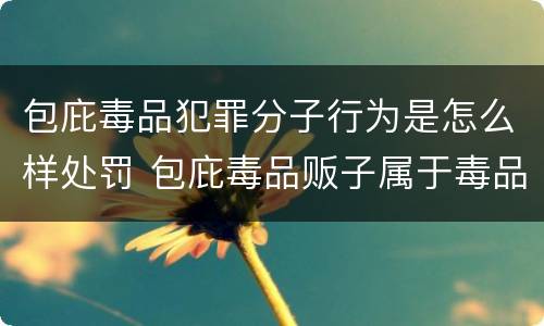 包庇毒品犯罪分子行为是怎么样处罚 包庇毒品贩子属于毒品犯罪吗