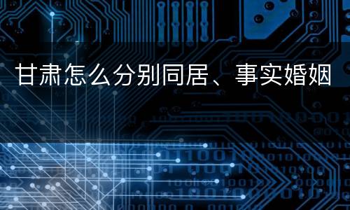 甘肃怎么分别同居、事实婚姻