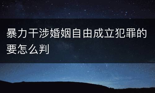 暴力干涉婚姻自由成立犯罪的要怎么判