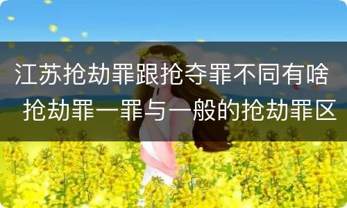 江苏抢劫罪跟抢夺罪不同有啥 抢劫罪一罪与一般的抢劫罪区别