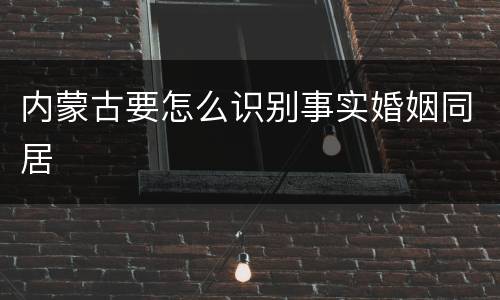 内蒙古要怎么识别事实婚姻同居
