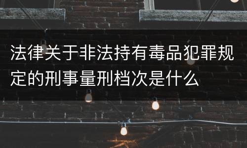 法律关于非法持有毒品犯罪规定的刑事量刑档次是什么
