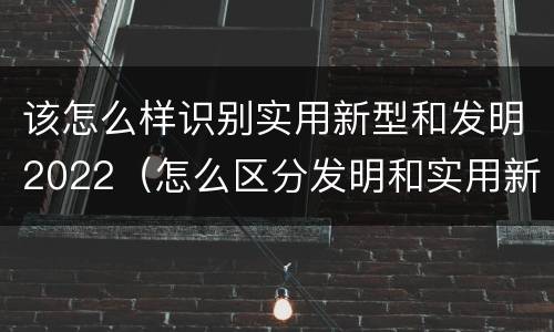 该怎么样识别实用新型和发明2022（怎么区分发明和实用新型）