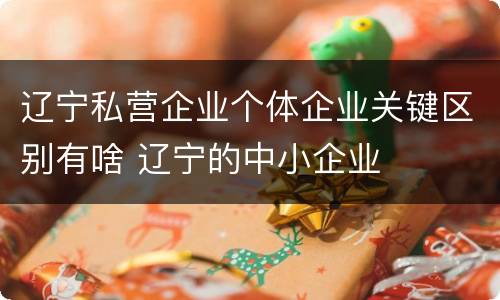 辽宁私营企业个体企业关键区别有啥 辽宁的中小企业