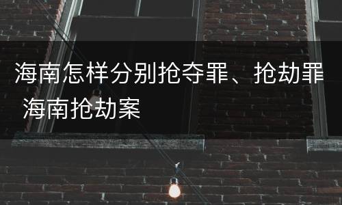 海南怎样分别抢夺罪、抢劫罪 海南抢劫案