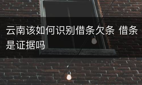 云南该如何识别借条欠条 借条是证据吗