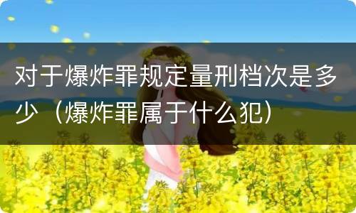 对于爆炸罪规定量刑档次是多少（爆炸罪属于什么犯）