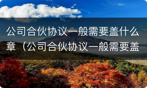 公司合伙协议一般需要盖什么章（公司合伙协议一般需要盖什么章才有效）