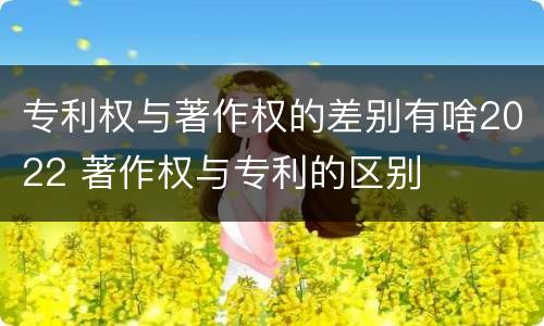 专利权与著作权的差别有啥2022 著作权与专利的区别