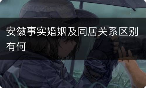 安徽事实婚姻及同居关系区别有何