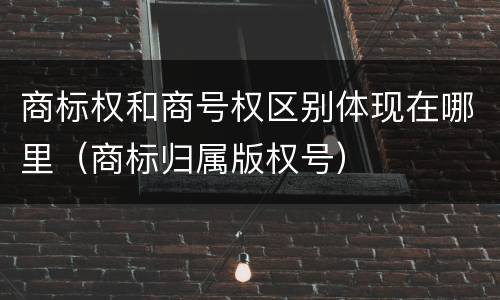 商标权和商号权区别体现在哪里（商标归属版权号）
