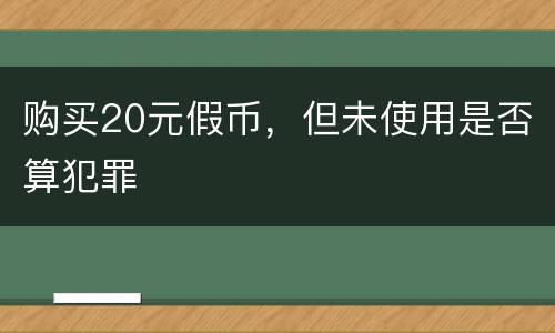 购买20元假币，但未使用是否算犯罪