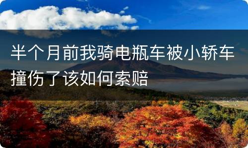 半个月前我骑电瓶车被小轿车撞伤了该如何索赔