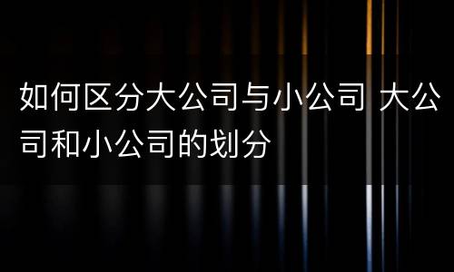 如何区分大公司与小公司 大公司和小公司的划分