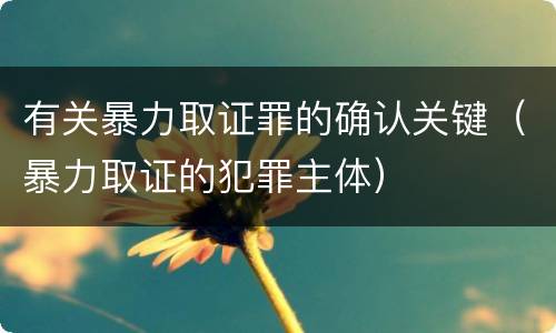 有关暴力取证罪的确认关键（暴力取证的犯罪主体）