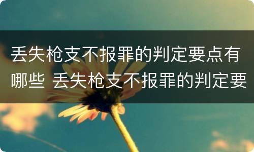 丢失枪支不报罪的判定要点有哪些 丢失枪支不报罪的判定要点有哪些规定