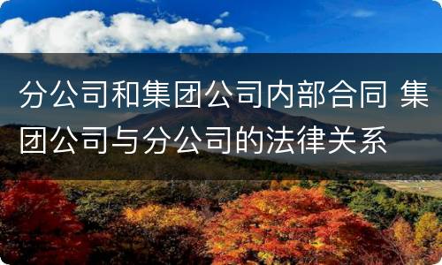 分公司和集团公司内部合同 集团公司与分公司的法律关系