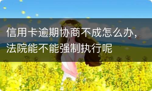 信用卡逾期协商不成怎么办，法院能不能强制执行呢