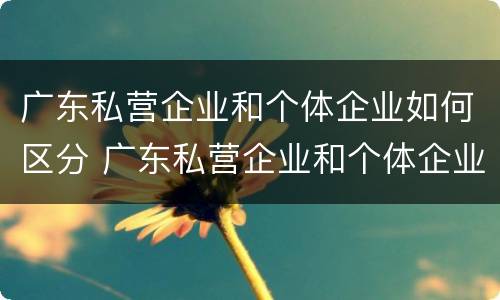 广东私营企业和个体企业如何区分 广东私营企业和个体企业如何区分出来