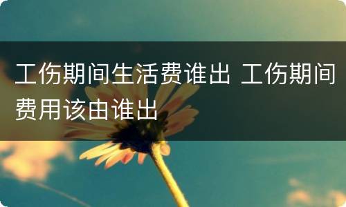 工伤期间生活费谁出 工伤期间费用该由谁出