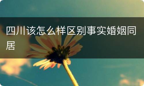四川该怎么样区别事实婚姻同居