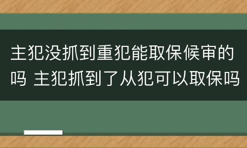 主犯没抓到重犯能取保候审的吗 主犯抓到了从犯可以取保吗