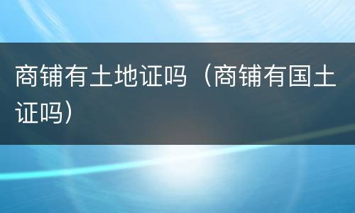 商铺有土地证吗（商铺有国土证吗）