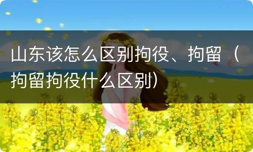 山东该怎么区别拘役、拘留（拘留拘役什么区别）