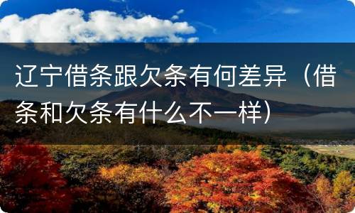 辽宁借条跟欠条有何差异（借条和欠条有什么不一样）