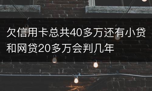 欠信用卡总共40多万还有小贷和网贷20多万会判几年