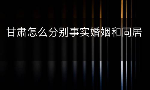 甘肃怎么分别事实婚姻和同居