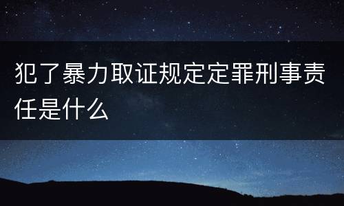 犯了暴力取证规定定罪刑事责任是什么