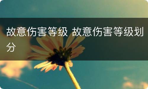 故意伤害等级 故意伤害等级划分
