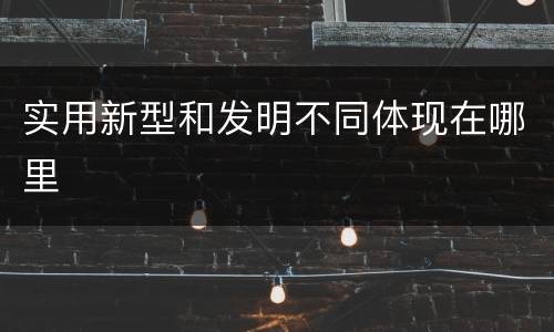 实用新型和发明不同体现在哪里