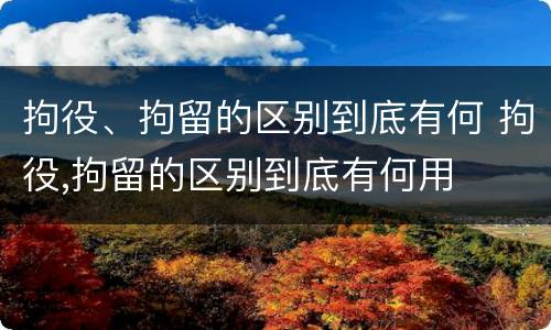 拘役、拘留的区别到底有何 拘役,拘留的区别到底有何用