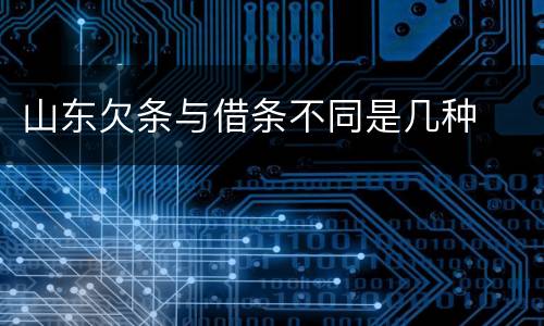 山东欠条与借条不同是几种