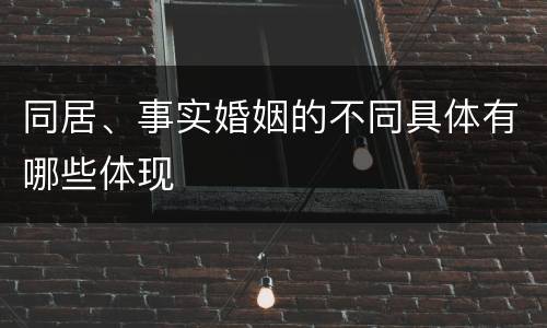 同居、事实婚姻的不同具体有哪些体现