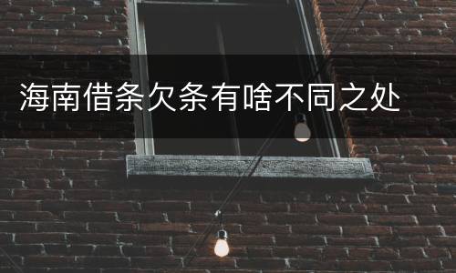 海南借条欠条有啥不同之处