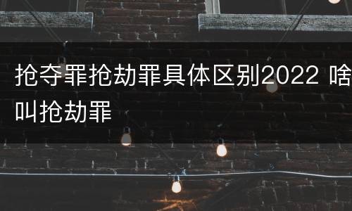 抢夺罪抢劫罪具体区别2022 啥叫抢劫罪