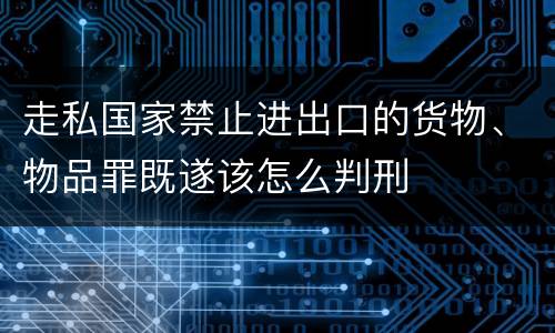 走私国家禁止进出口的货物、物品罪既遂该怎么判刑