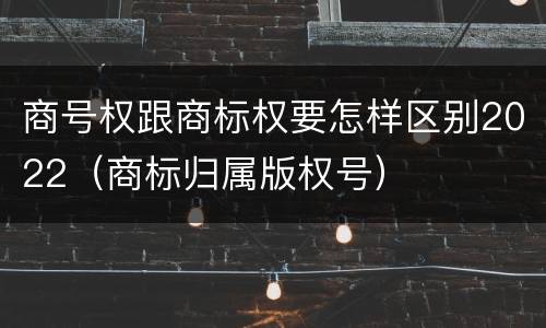 商号权跟商标权要怎样区别2022（商标归属版权号）